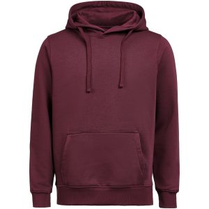 Hoodie Regular Fit Plommon Untagged Movement