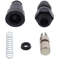Hot Start Plunger Kit All Balls