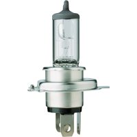 HS1 12V 35/35W PX43t FLOSSER