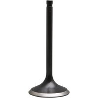 Indsugningsventil Black Diamond KIBBLEWHITE