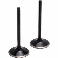 Indsugningsventil Black Diamond KIBBLEWHITE