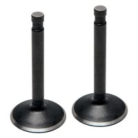 Indsugningsventil Black Diamond KIBBLEWHITE