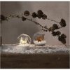 Inomhusdekoration Fauna Natur Star Trading – miniature 5