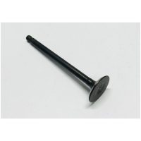Intake Valve