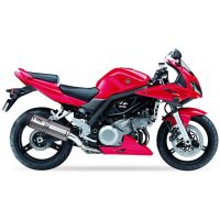 IXIL Slip On Hexoval Extrem Silencers (Right+Left Side)