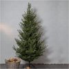 Juletræ Uppsala Grøn Star Trading Juletræ – miniature 9