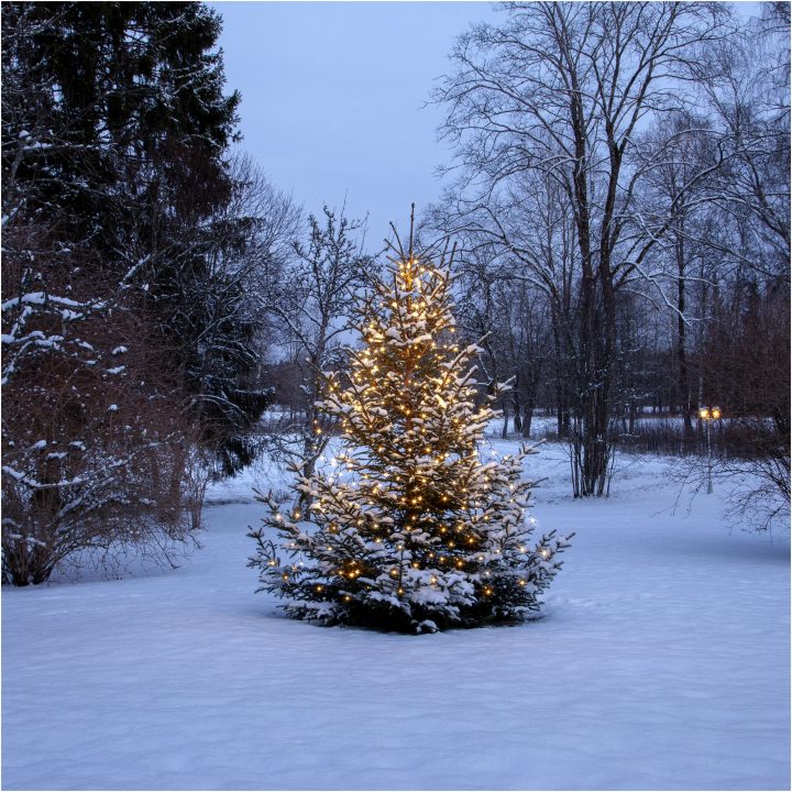 Juletræslyskæde Shiny WarmWhite STAR TRADING – billede 2