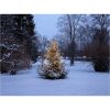 Juletræslyskæde Shiny WarmWhite STAR TRADING – miniature 4