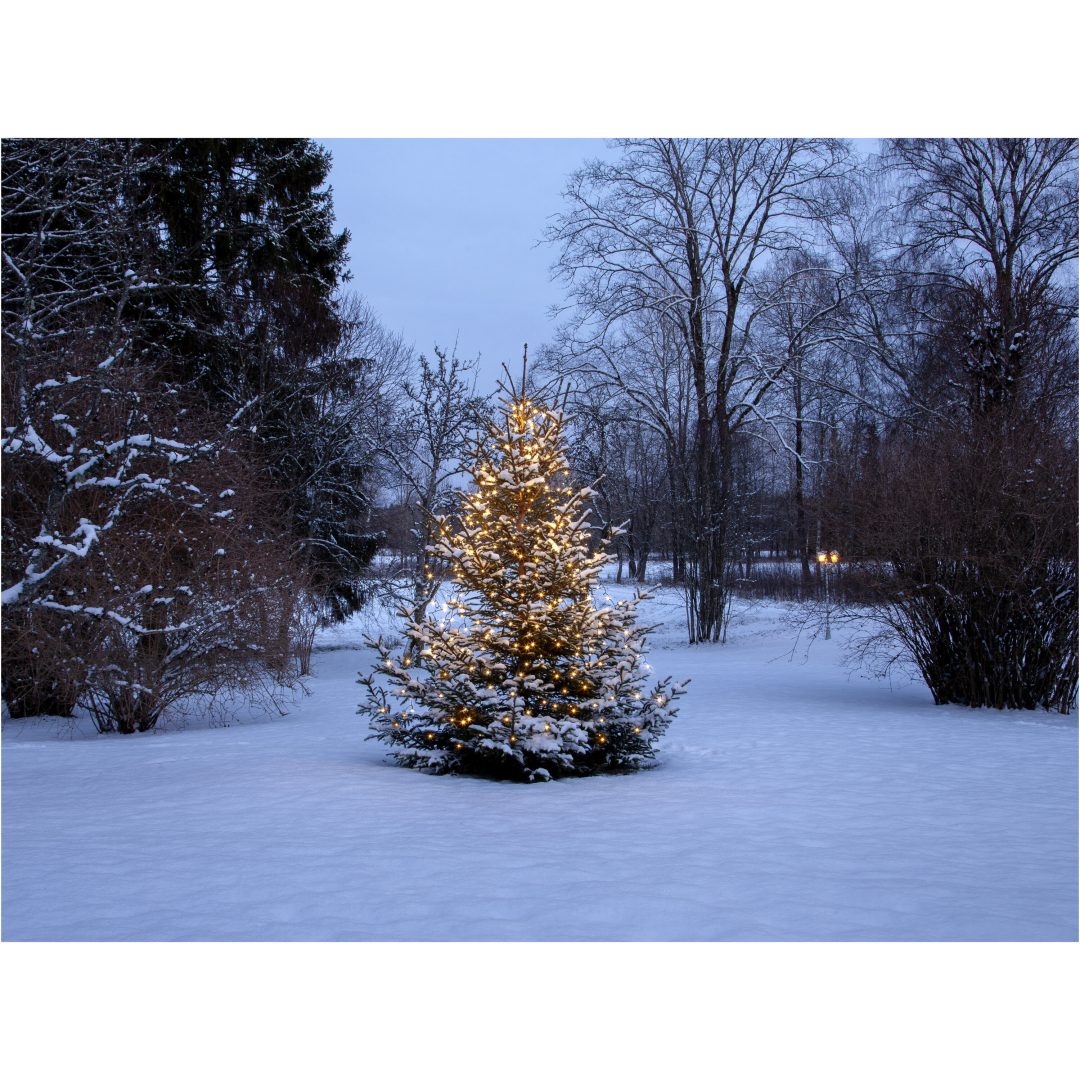 Juletræslyskæde Shiny WarmWhite STAR TRADING – billede 6