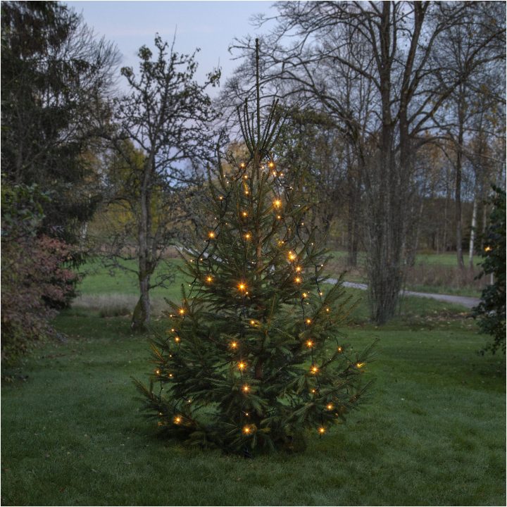 Julgransslinga System 24 Varmvit Star Trading – billede 2