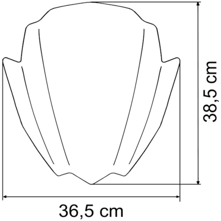 Kåbeglas Racing Naked Bike RNB Transparent MRA 380 x 390 mm – billede 2