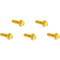 Kit - Derby Cover - 12-Point - Gold Arlen Ness