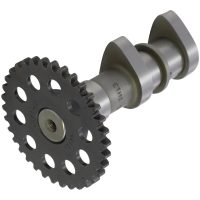 Knastaksel Indsug Stage 1 HOT CAMS