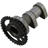 Knastaksel Indsug Stage 1 HOT CAMS