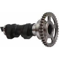 Knastaksel Stage 1 HOT CAMS