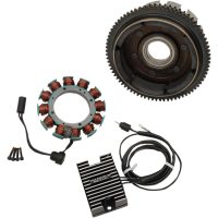 Ladesystem CYCLE ELECTRIC INC