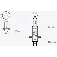 Lampe 12v Tecnium