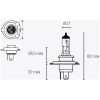 Lampe 12v Tecnium – miniature 2