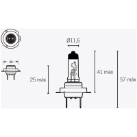 Lampe 12v Tecnium