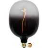 LED-lampa E27 C150 ColourMix Svart Star Trading – miniature 1