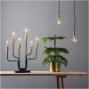 LED-pære E14 G80 Soft Glow Star Trading – miniature 4