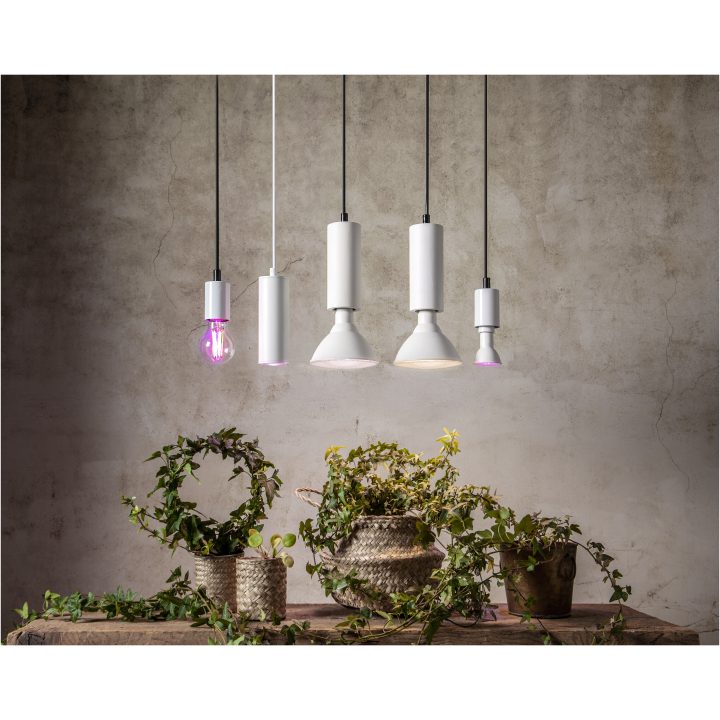 LED-pære E14 PAR16 Plant Light STAR TRADING – billede 6