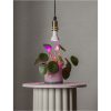LED-pære E14 PAR16 Plant Light STAR TRADING – miniature 9