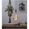 LED-pære E27 A165 Industrial Vintage Amber Star Trading – miniature 5
