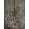 LED-pære E27 A60 Decoled Grace Smoke Star Trading – miniature 3