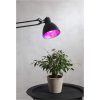 LED-pære E27 A60 Plant Light STAR TRADING – miniature 3