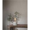 LED-pære E27 G125 Decoled Grace Klar Star Trading – miniature 1