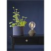 LED-pære E27 G125 Soft Glow Transparent Star Trading – miniature 11