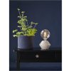 LED-pære E27 G125 Soft Glow Transparent Star Trading – miniature 3