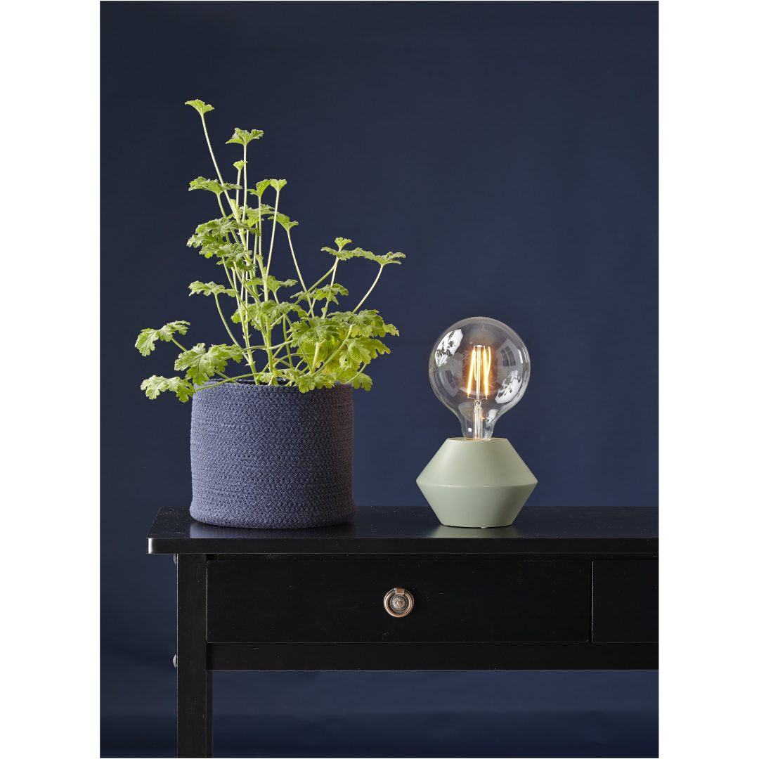 LED-pære E27 G125 Soft Glow Transparent Star Trading – billede 2