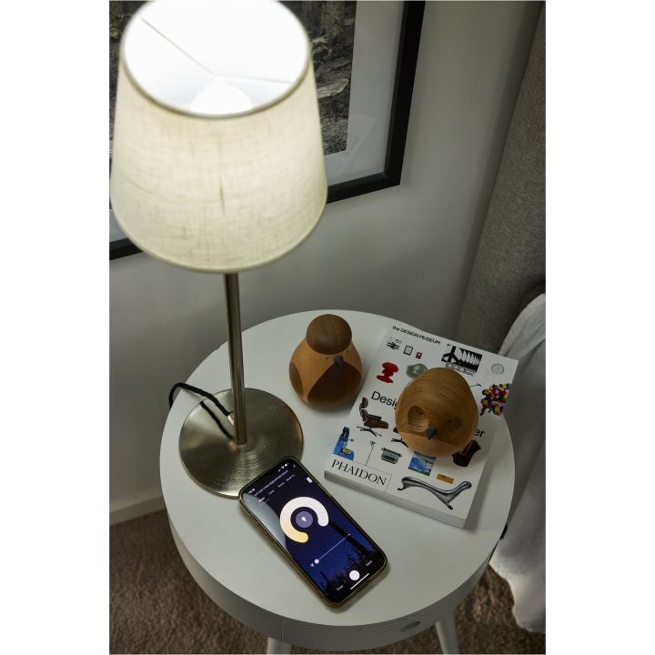 LED-pære E27 G45 Smart Bulb STAR TRADING – billede 7