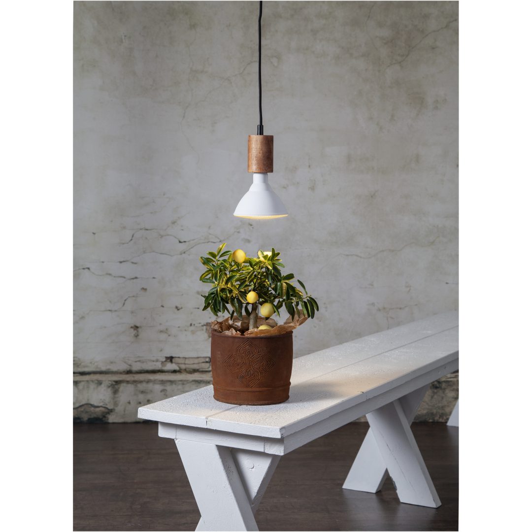 LED-pære E27 PAR38 Plant Light Hvid Star Trading – billede 2