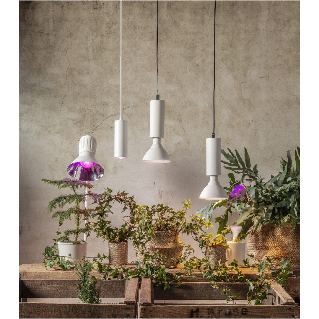 LED-pære E27 PAR38 Plant Light Hvid Star Trading – billede 9