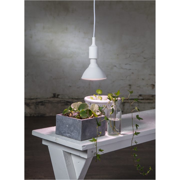 LED-pære E27 PAR38 Plant Light Hvid Star Trading – billede 9