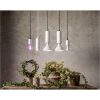 LED-pære E27 PAR38 Plant Light Hvid Star Trading – miniature 11