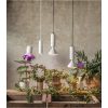 LED-pære E27 PAR38 Plant Light Hvid Star Trading – miniature 12