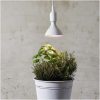 LED-pære E27 PAR38 Plant Light Hvid Star Trading – miniature 8