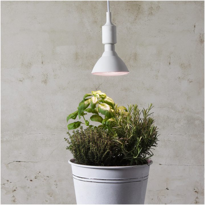 LED-pære E27 PAR38 Plant Light Hvid Star Trading – billede 8