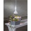 LED-pære E27 PAR38 Plant Light Hvid Star Trading – miniature 7