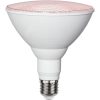 LED-pære E27 PAR38 Plant Light Hvid Star Trading – miniature 6