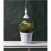 LED-pære E27 PAR38 Plant Light Hvid Star Trading – miniature 4