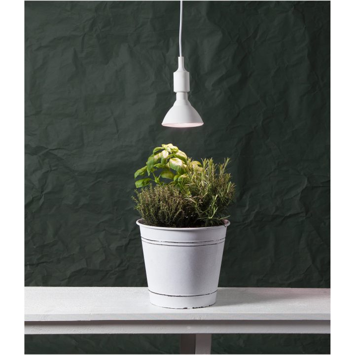 LED-pære E27 PAR38 Plant Light Hvid Star Trading – billede 4