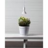 LED-pære E27 PAR38 Plant Light Hvid Star Trading – miniature 3
