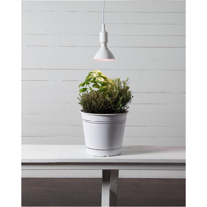 LED-pære E27 PAR38 Plant Light Hvid Star Trading – billede 3