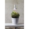 LED-pære E27 PAR38 Plant Light Hvid Star Trading – miniature 2