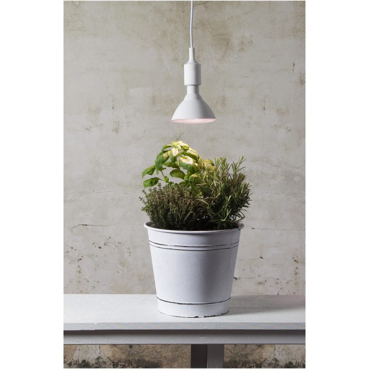 LED-pære E27 PAR38 Plant Light Hvid Star Trading – billede 2